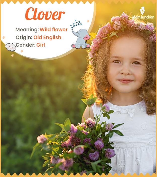 Clover, elegant name