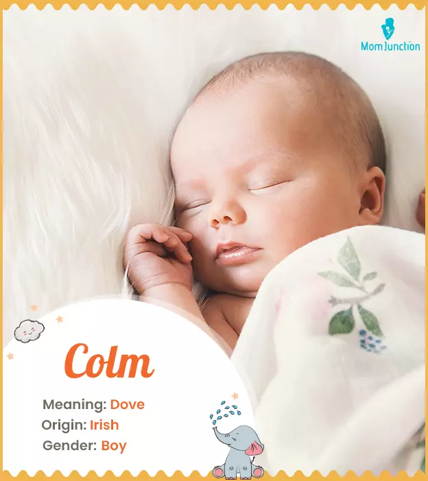 Colm: Name Meaning, Origin, History, And Popularity | MomJunction
