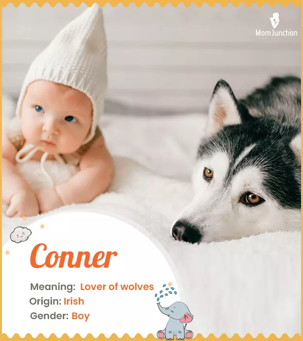 Conner: Name Meaning, Origin, History, And Popularity | MomJunction