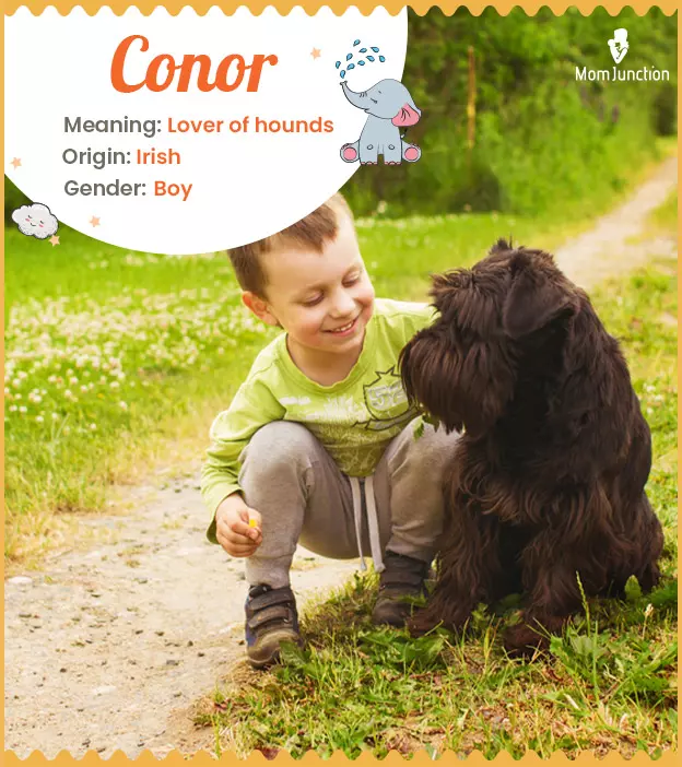 Conor means hound lo