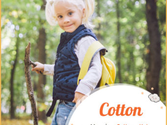 Cotton, meaning cottage