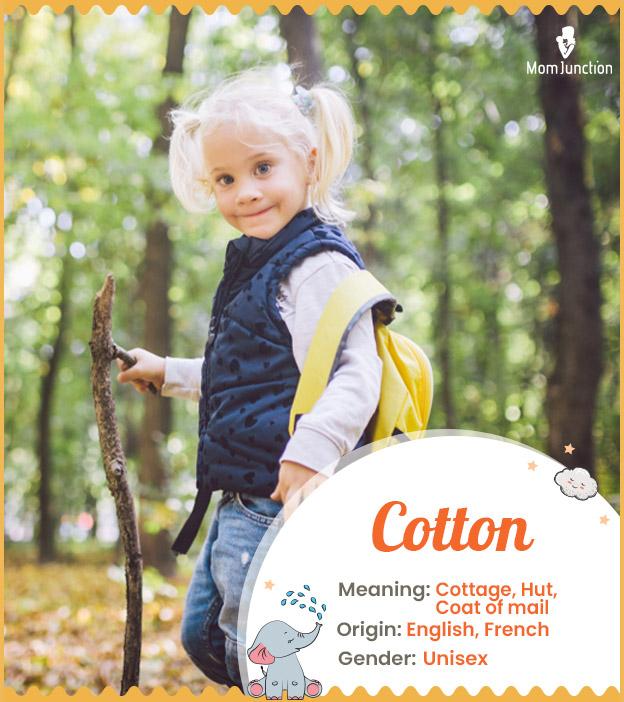 cotton: Name Meaning, Origin, History, And Popularity_image