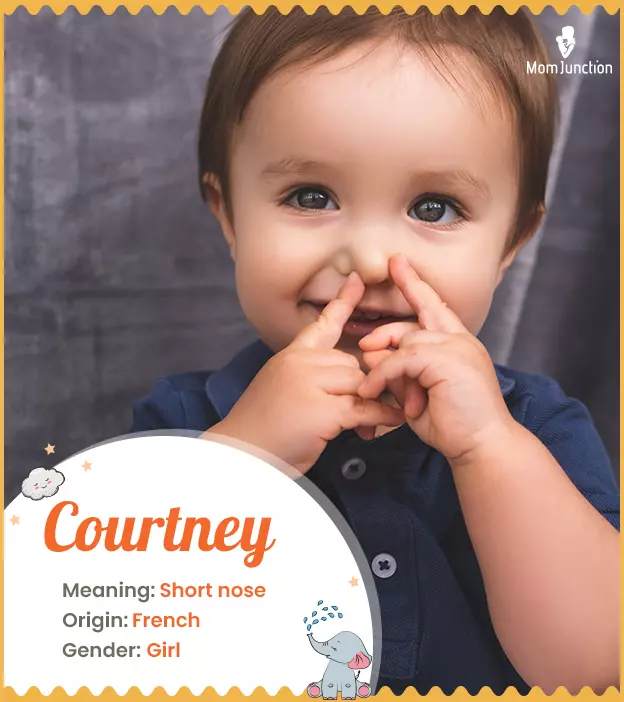 Courtney: Name Meaning, Origin, History, And Popularity ...