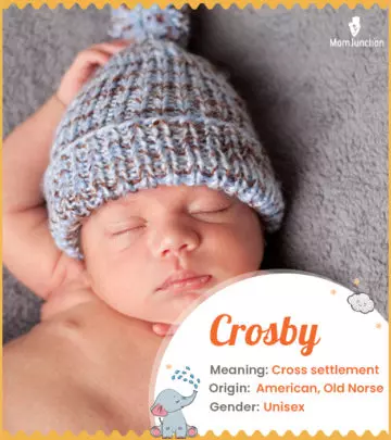 Crosby: Meaning, Origin, Popularity | MomJunction