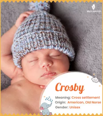 Crosby: Meaning, Origin, Popularity_image