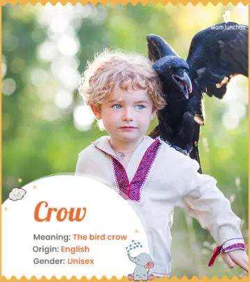Crow refers to the bird crow