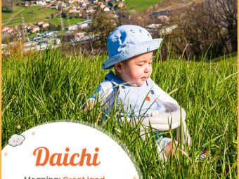 Daichi, great land/great wisdom