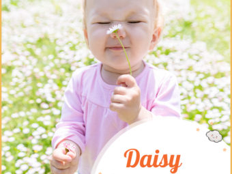 Daisy, a beautiful Old English name