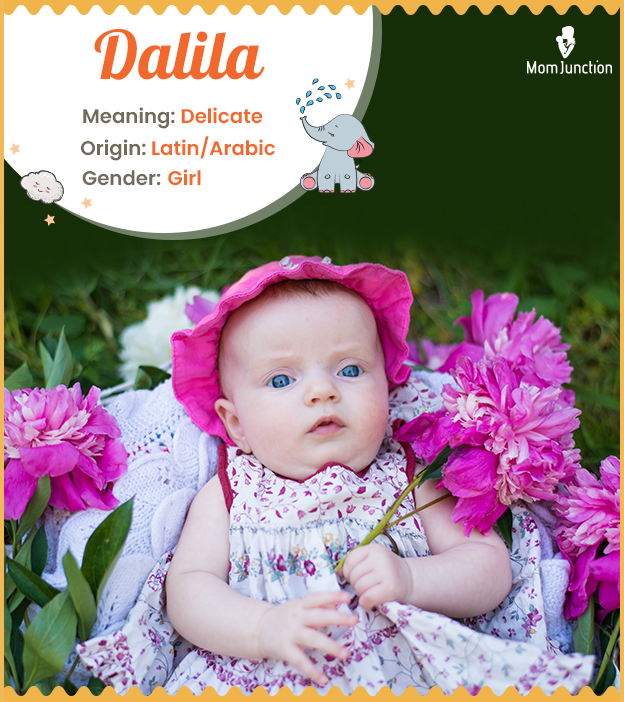 Dalila, the delicate