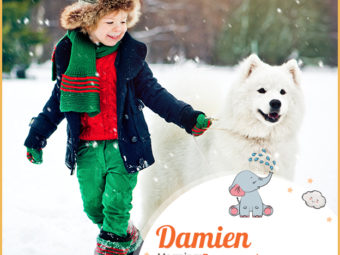 Damien means to tame