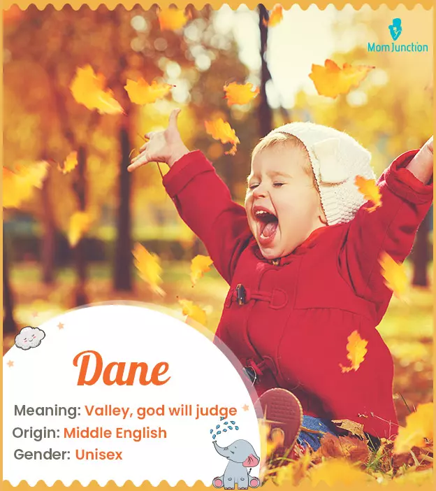 Dane Name, Origin, Meaning, History, And Popularity | MomJunction