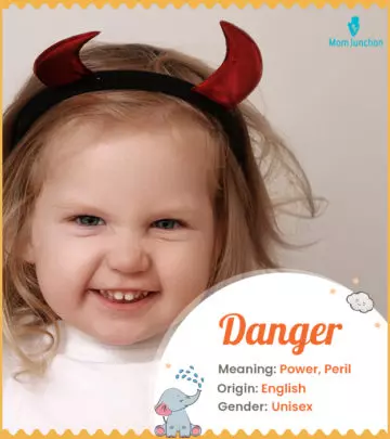 Explore Danger: Meaning, Origin & Popularity_image