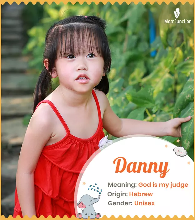 Danny Name Meaning, Origin, History, And Popularity_image