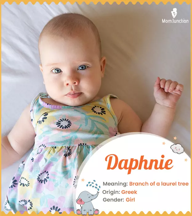 Daphnie Meaning, History, Origin And Popularity_image