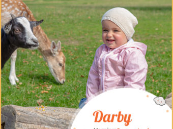Darby, a unisex name with varied meanings