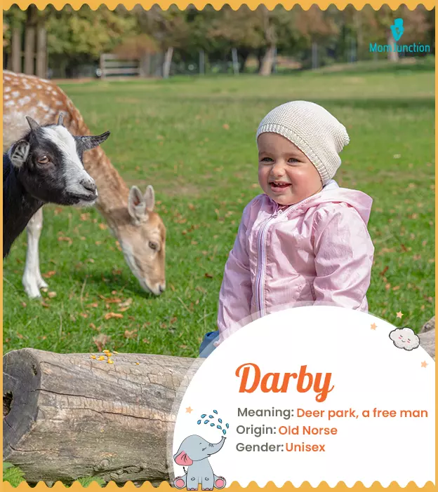 Darby Name, Meaning, Origin, History, And Popularity | MomJunction