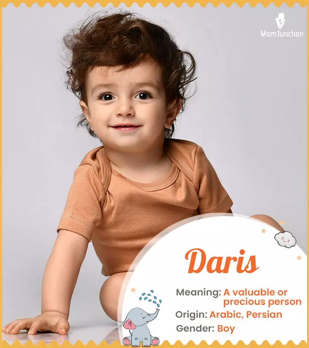 Daris: Name Meaning, Origin, History, And Popularity_image