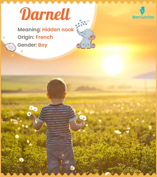 Darnell: Name Meaning, Origin, History, And Popularity_image