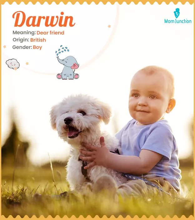 Darwin: Name Meaning, Origin, History, And Popularity | MomJunction