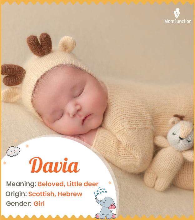 Davia Name Meaning, Origin, History, And Popularity_image