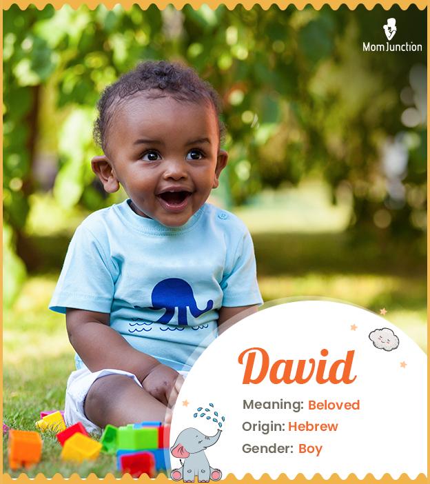 David Name Meaning, Origin, History, And Popularity