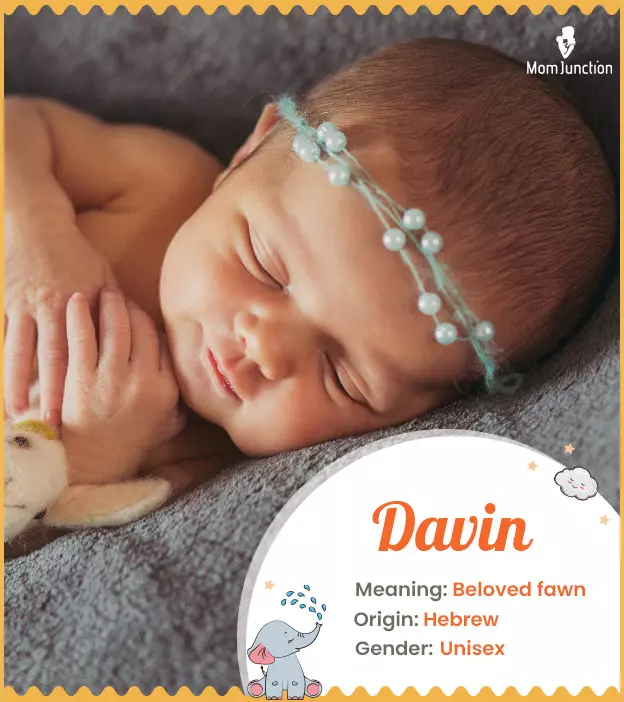 Davin Name Meaning, Origin, History, And Popularity_image