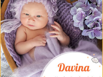 Davina means favorite or beloved