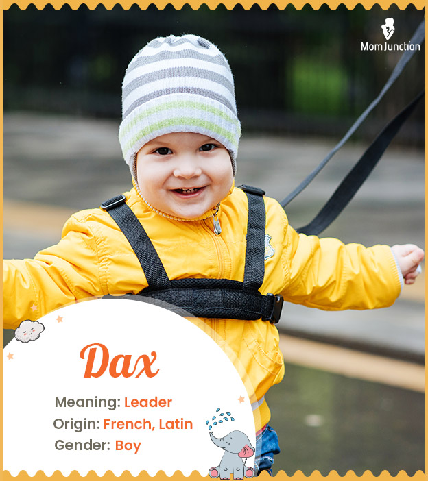 Dax: Name Meaning, Origin, History, And Popularity_image