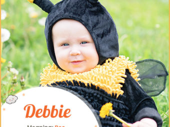 Debbie, meaning bee