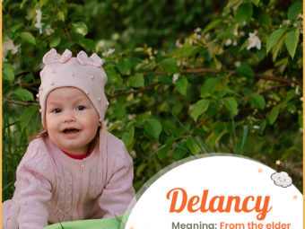 Delancy is a French name