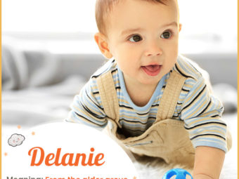 Delanie means descendant of of Dubhshláine
