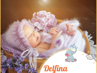 Delfina, means Of Delphi or womb.