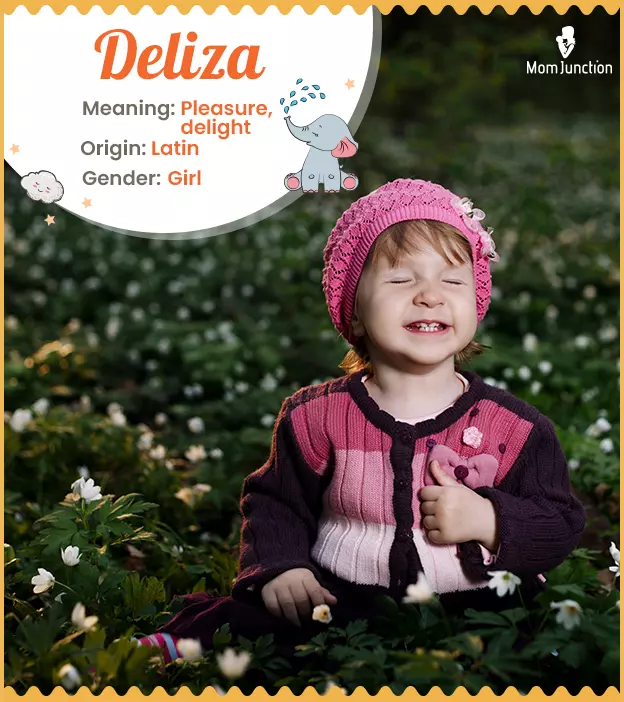 Deliza Name, Meaning, Origin, History, And Popularity | MomJunction