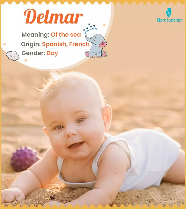 Delmar Name Meaning, Origin, History, And Popularity_image