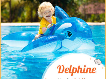 Delphine meaning Dolphin