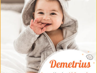 Demetrius means a follower of Demeter