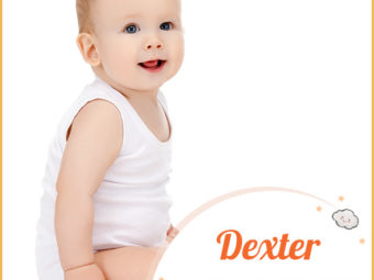 Dexter, a lovely name for a boy