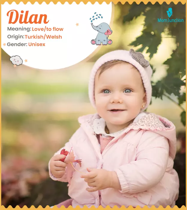 Dilan Name Meaning, Origin, History, And Popularity_image