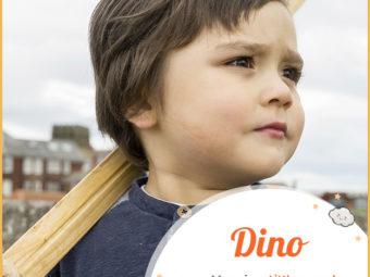 Dino, meaning little sword.
