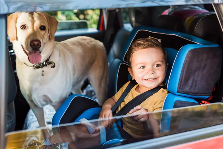 Do Not Transport Loose Objects