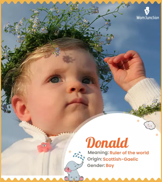 Donald Name Meaning, Origin, History, And Popularity_image