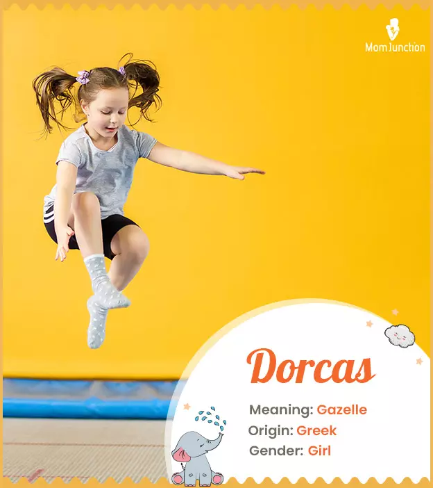 Dorcas Name, Meaning, Origin, History, And Popularity | MomJunction