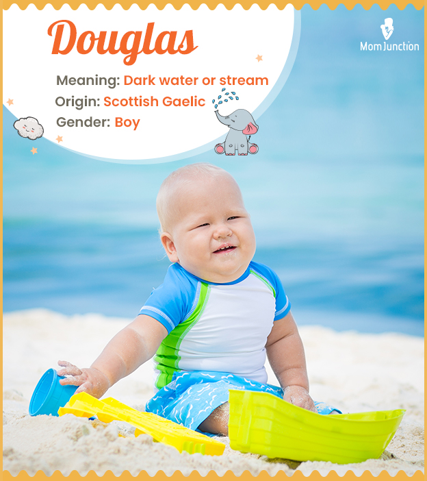 Douglas Name Meaning, Origin, History, And Popularity