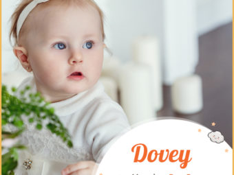 Dovey, a playful feminine name