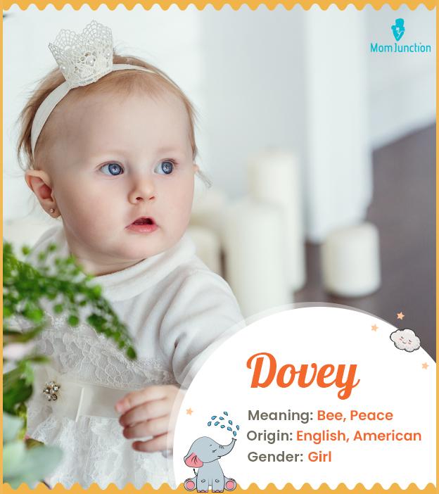 Dovey Name Meaning, Origin, History, And Popularity MomJunction