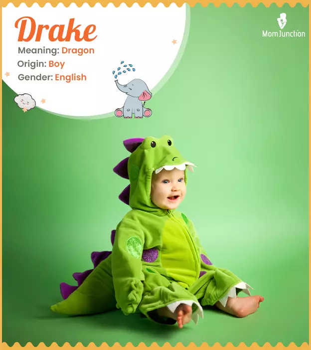 Drake: Name Meaning, Origin, History, And Popularity_image