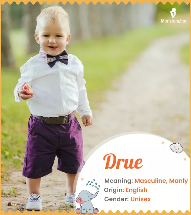 Explore Drue: Meaning, Origin & Popularity_image