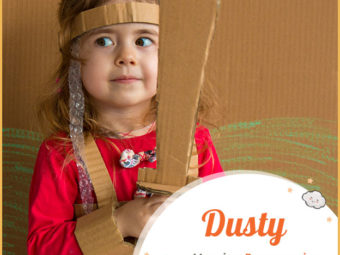Dusty has English and German origins.