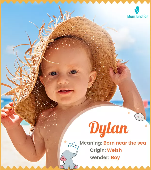 Explore Dylan: Meaning, Origin & Popularity | MomJunction