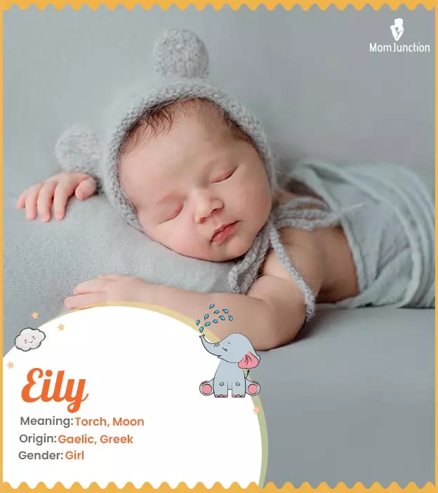 eily: Name Meaning, Origin, History, And Popularity_image